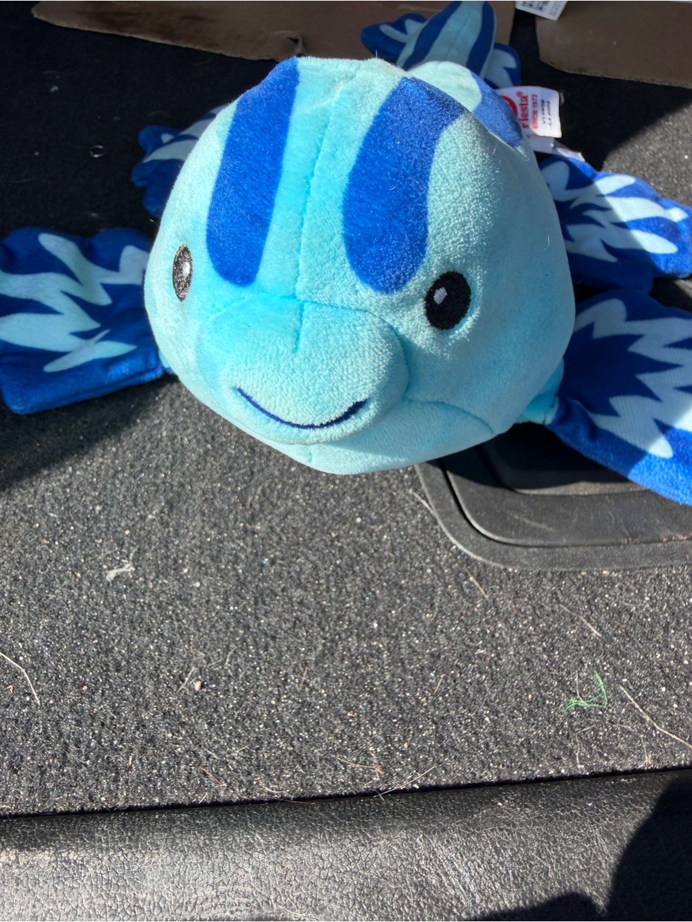Glaucus Atlanticus- Soft Aquatic Comfort